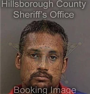 Mario Garcia, - Hillsborough County, FL 