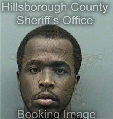 Christian Hamilton, - Hillsborough County, FL 