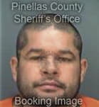 Jaime Llanezrendon - Pinellas County, FL 