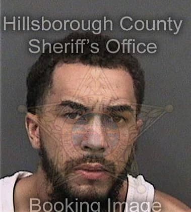 Larry Stinson, - Hillsborough County, FL 