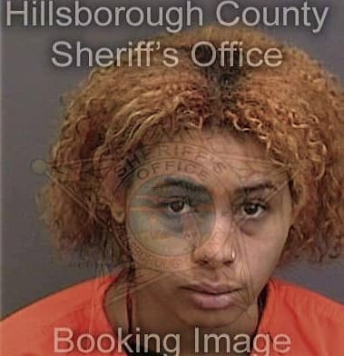 Sophia Adkins, - Hillsborough County, FL 