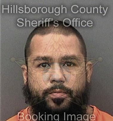 Lester Bravofonseca - Hillsborough County, FL 
