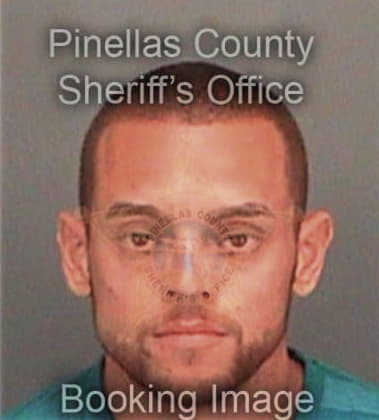 Daniel Decicco, - Pinellas County, FL 