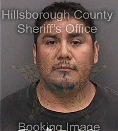 Stephen Fazchas, - Hillsborough County, FL 