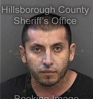 Jeffery Hammons, - Hillsborough County, FL 