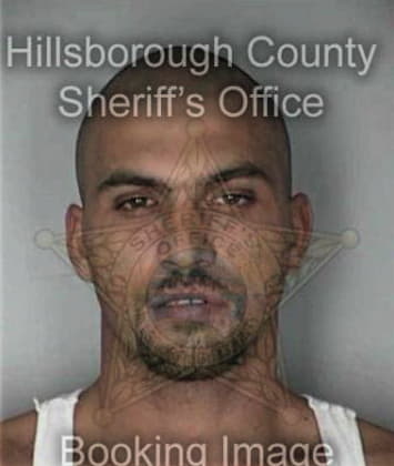 Martin Mendozalanderos - Hillsborough County, FL 