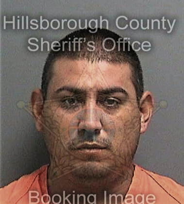 Marcus Metziere - Hillsborough County, FL 