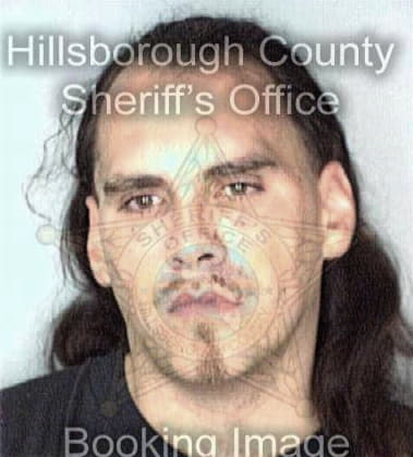 David Metzler - Hillsborough County, FL 