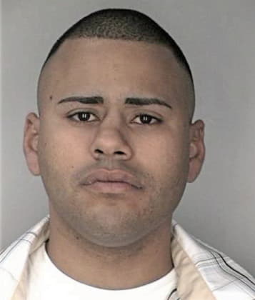 Mark Michaels - Hillsborough County, FL 