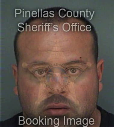 Michael Ryan, - Pinellas County, FL 