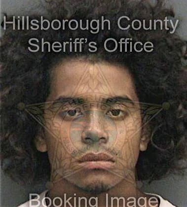 Rafid Alfatlawi, - Hillsborough County, FL 