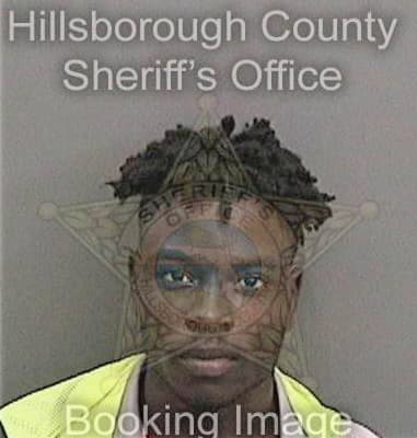 Jean Bienaime - Hillsborough County, FL 