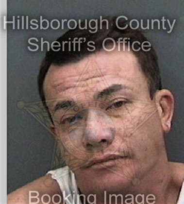 Akhil Botre - Hillsborough County, FL 