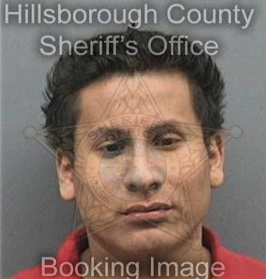 Jorge Garciadelgado, - Hillsborough County, FL 