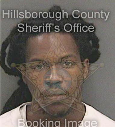 Vincent Pierre, - Hillsborough County, FL 