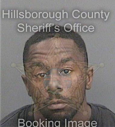 Wayne Fields, - Hillsborough County, FL 