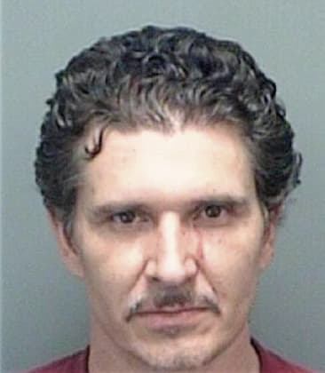 Michael Greenberg, - Pinellas County, FL 