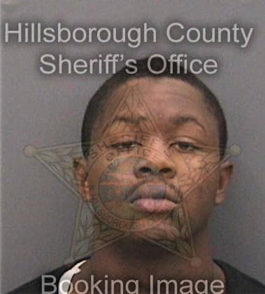 Demetrius Hollis, - Hillsborough County, FL 