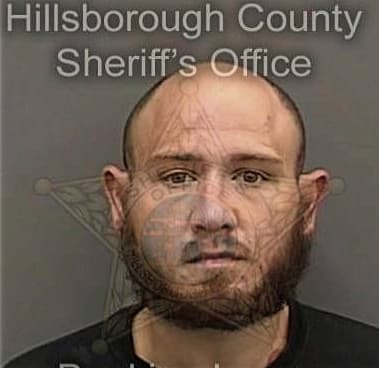 Jeffrey Long, - Hillsborough County, FL 