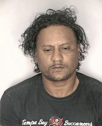 Vladimir Mejiatilano - Hillsborough County, FL 