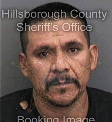 Robert Simpson, - Hillsborough County, FL 