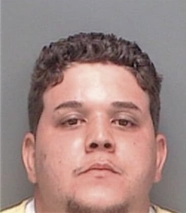 Mohamed Ahmad, - Pinellas County, FL 