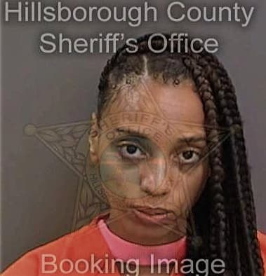 Jazzerick Bowers - Hillsborough County, FL 