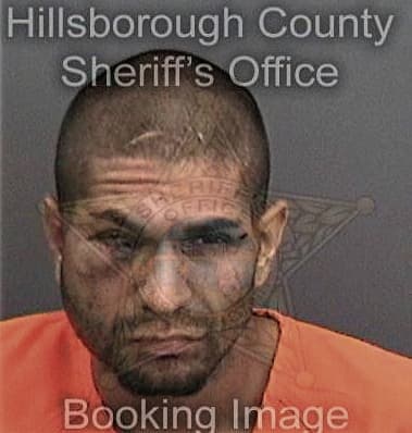 Bradley Brinser - Hillsborough County, FL 
