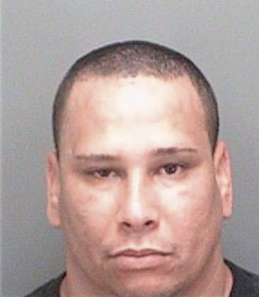 Jose Demoya, - Pinellas County, FL 