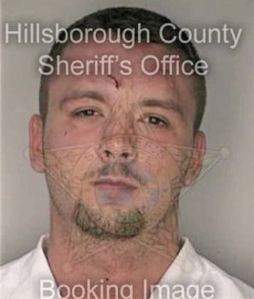 Roberto Hernandezrodriguez - Hillsborough County, FL 