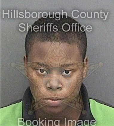 Latisha Johnson, - Hillsborough County, FL 