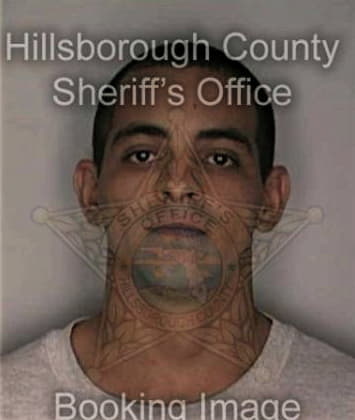 Johnny Knutson, - Hillsborough County, FL 