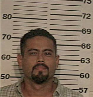 Enrique Romero - Hidalgo County, TX 
