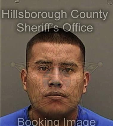 Luis Solisochoa, - Hillsborough County, FL 