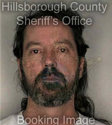 Gabriel Castelanosjuarez, - Hillsborough County, FL 