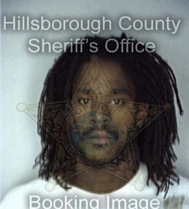 Felder Desseau, - Hillsborough County, FL 