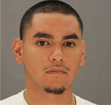 Luis Gonzalez - Dallas County, TX 