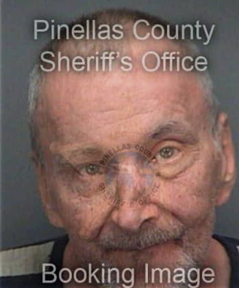 Alen Kobilsek, - Pinellas County, FL 