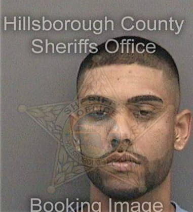 Daniel Vega, - Hillsborough County, FL 