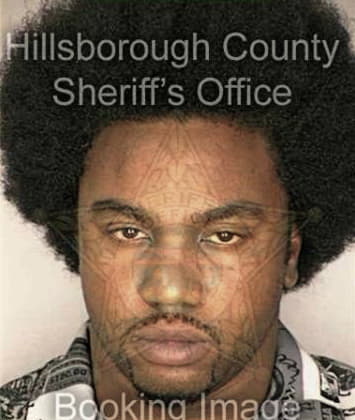 Rudolph Williams, - Hillsborough County, FL 