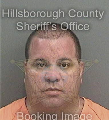 Johan Caraballorodriguez, - Hillsborough County, FL 