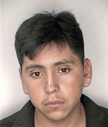 Obany Coellonroca - Hillsborough County, FL 