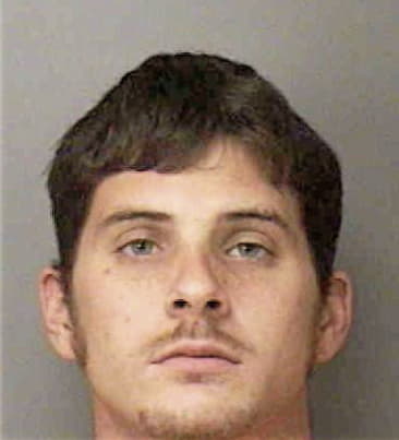 Nelson Felipe, - Polk County, FL 