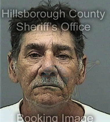 Antonio Irrizary, - Hillsborough County, FL 