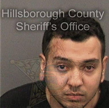 Bryan Jimenez, - Hillsborough County, FL 