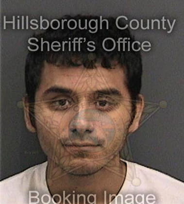 Curtis Lang, - Hillsborough County, FL 