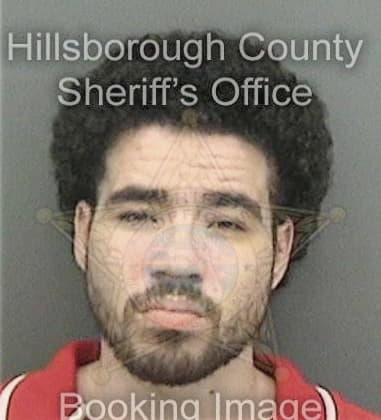 Eric Rayburn, - Hillsborough County, FL 