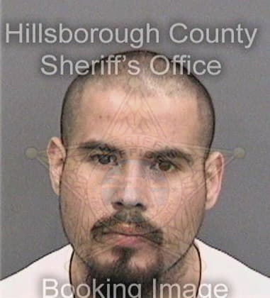 Elvis Reyesortiz, - Hillsborough County, FL 