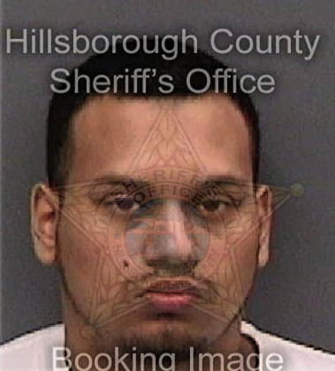 Dylan Smith, - Hillsborough County, FL 