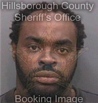 Michael Williams, - Hillsborough County, FL 